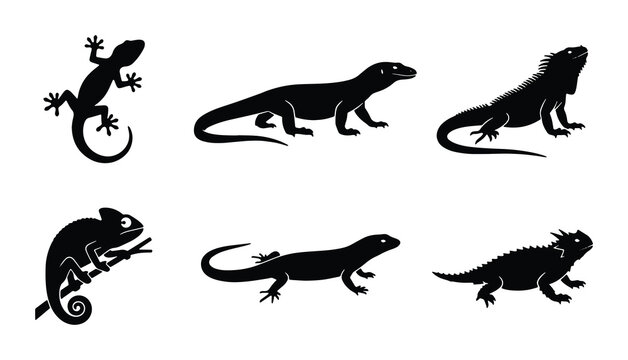Lizard silhouette vector set, black reptile icons, gecko and chameleon graphic design elements