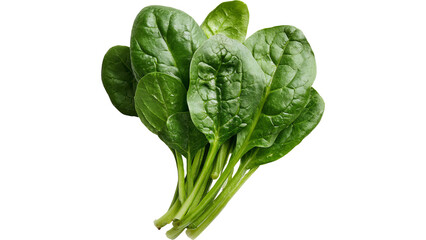 Fresh Spinach Leaves Isolated on White Background for Healthy Eating and Nutrition Concepts © Misbah
