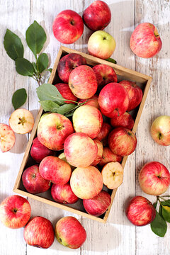 Assortment of apple varieties on wooden table, Thanksgiving background, concept of healthy, natural eating and the harvest, banner for cafes and restaurants, detox diet and body cleansing,