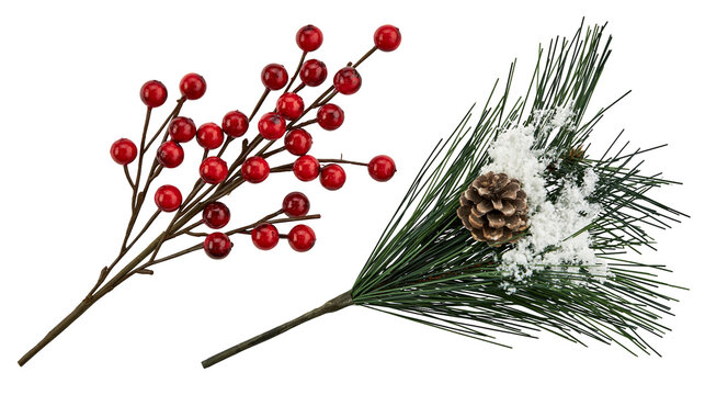 Isolated winter holiday decor with bright red berries and a snowy evergreen branch pinecone