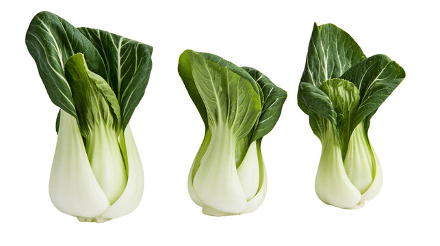Isolated fresh baby bok choy with vibrant green leaves and crisp white stems healthy food