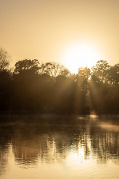 Golden sunrise beams through misty trees over tranquil lake reflections at Western Springs Lake