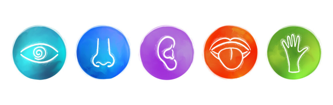 Five Senses Watercolor Vector Icons