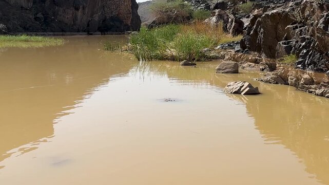 Calm muddy wadi water reflecting dark rocky canyon walls and green reeds.