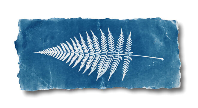 Cyanotype print of a single fern leaf on textured, rectangular paper with rough, deckled edges, featuring a white silhouette against a deep prussian blue background