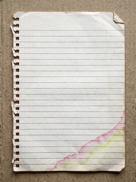 Single sheet of lined notebook paper with torn spiral edge, folded corner, and watercolor stain on a brown cardboard background