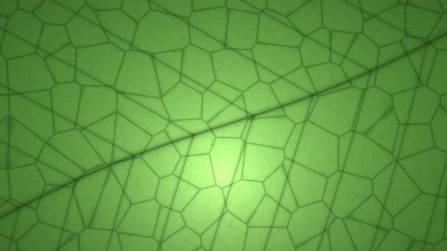 Abstract green cellular pattern with light gradient and diagonal line, representing biological structures or digital networks