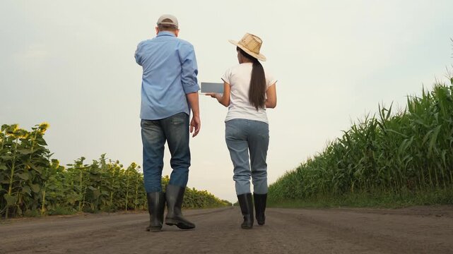 Agriculture, teamwork, business partner farmer agriculture, handshake sign of deal, harvest, fresh soil grow crops, field corn, field sunflowers, people farmers working digital tablet sunset, nature