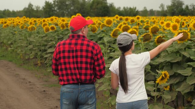 Agriculture, teamwork, business partner farmer agriculture, handshake sign of deal, harvest, fresh soil grow crops, people cap head working field, man woman work digital tablet, joint industrial