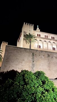 Static shot of illuminated castle facade with palm trees at night in urban setting