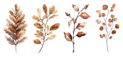 Fototapeta premium PNG Elegant autumn leaves clipart collection, transparent background
