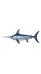 Obraz premium Vibrant blue swordfish illustration, a powerful marine animal with a distinctive long bill. Detailed aquatic life artwork, perfect for ocean-themed designs and educational content.