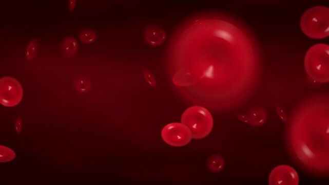 Seamless loop red blood cells flowing in vessel