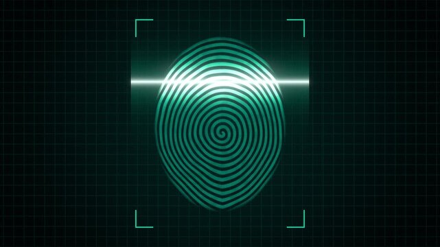 Seamless loop fingerprint scan biometric identification