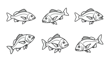 Obraz premium Grunt Fish Line Art Vector Set for Commercial Fishing and Aquatic Life Graphics 