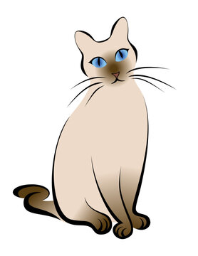 Vector Siamese Cat