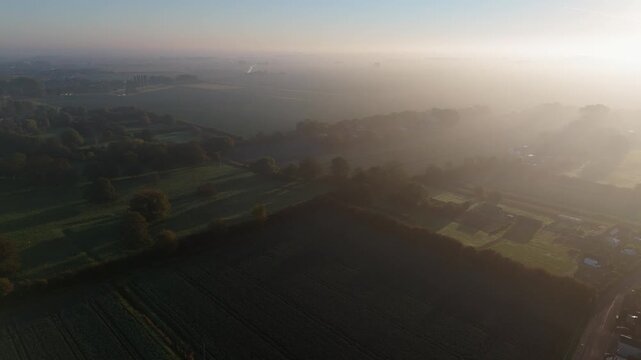 Soft dawn light brushes through misty fields