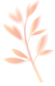 Delicate Peach Pink Botanical Stem Illustration with Soft Pastel Gradient Leaves