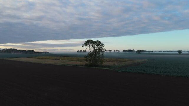 Fog curls low over tilled fields and young crops
