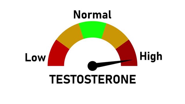 Testosterone level gauge infographic with low, normal, and high range indicators, featuring a color-coded semicircular meter and needle.
