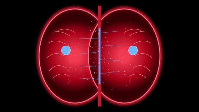 Two red glowing atomic nuclei orbiting with blue protons in a dark void