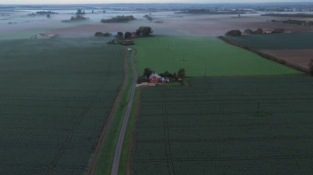 Misty dawn settles over vast green fields