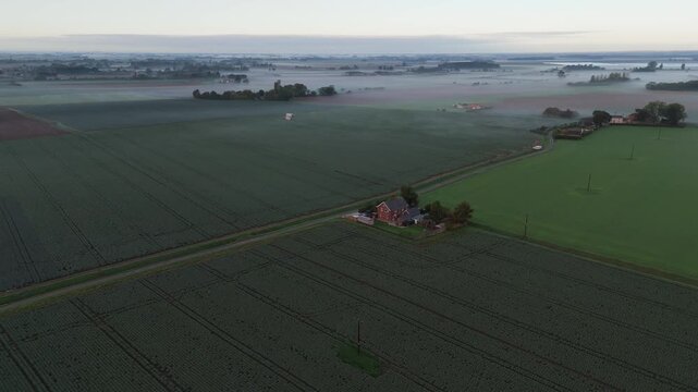 Misty dawn settles over vast, quiet farmland