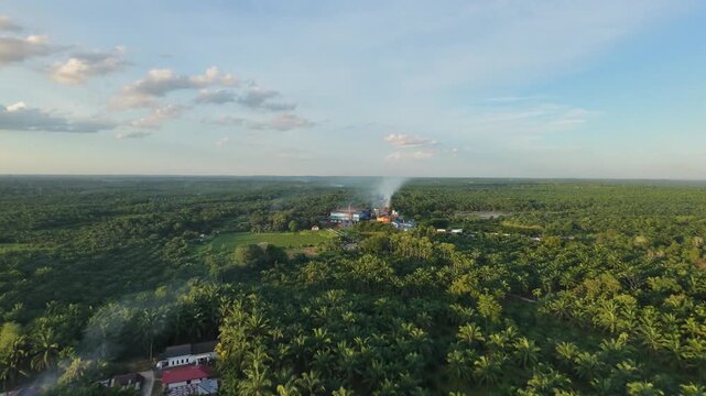 Stunning aerial perspective of a massive palm oil plantation surrounding an active processing plant. Tropical agricultural industry background showing rural farmland, trees, and factory smoke at dusk