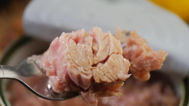 Close up of fork lifting canned tuna fish from open tin for preparing healthy meal.