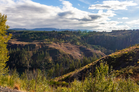 Forested mountains near Estacada, Oregon