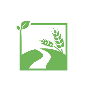 Green wheat sprout and path logo