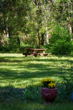 Wooden picnic table in a shaded garden park on sunny day