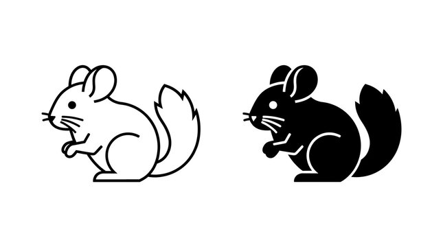 Chinchilla icon set isolated on transparent background