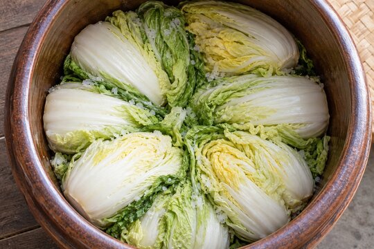 漬物容器に放射状に敷き詰めた白菜の一段目