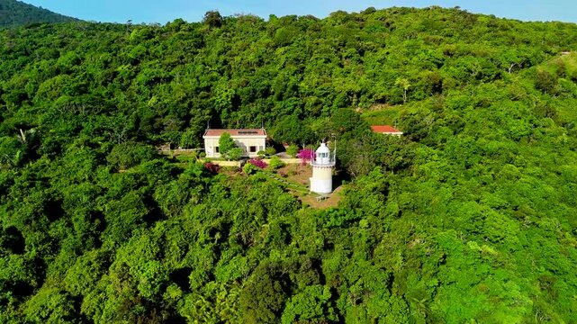 Aerial view sweeps across the vibrant mountainside forest to reveal