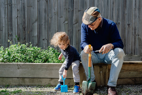 Young 3 year old boy gardening with his Pop, sitting in the back yard organic vegetable garden holding his spade just like his grandfather with his shovel; Melbourne, Victoria, Australia