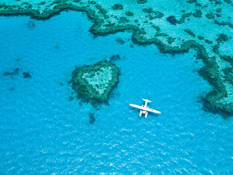 Heart Reef Great Barrier Reef Tropical Adventure