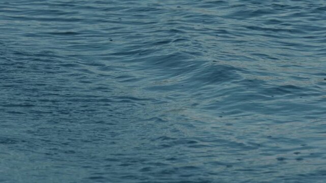 Close-Up of Gentle Waves Lapping Against a Dark Blue Shore