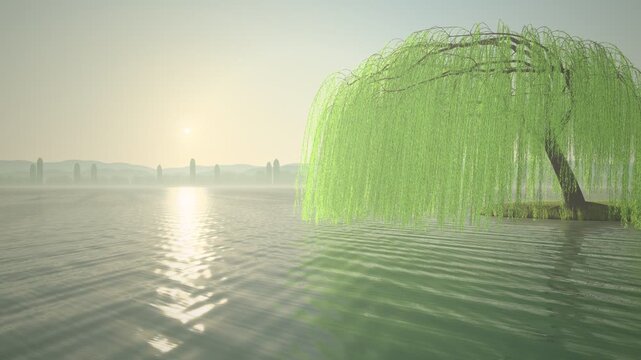 Weeping Willow Tree Swaying Over Pond at Golden Hour Seamless Loop