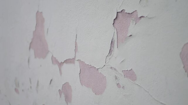 Peeling paint and cracked plaster on old wall with pink undercoat texture showing through damaged surface.