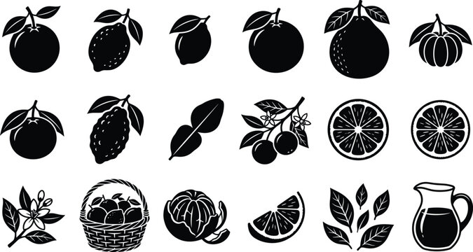 Citrus fruit silhouette icon set with orange lemon lime slices and blossoms on white background