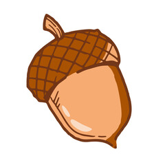 vector illustration of acorn © Taufik