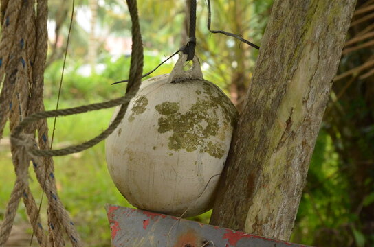 Close-up of an old weathered white fishing buoy covered in moss hanging by a rope near a wooden post