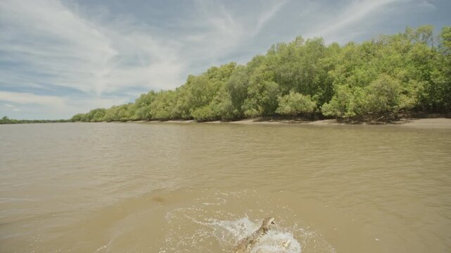 Slow-motion footage of a saltwater crocodile leaping vertically from the muddy waters of the Adelaide River in Australia, with its jaws wide open.