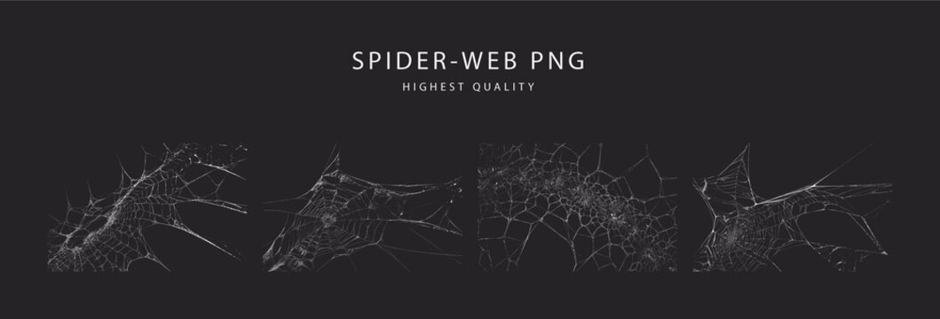 Set of realistic spider web elements for spooky halloween decorations and dark gothic design projects