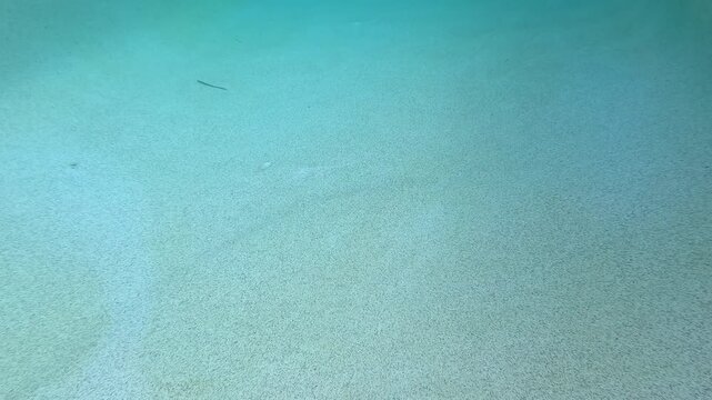 Time Lapse of Automatic Pool Vacuum Cleaner Cleaning Swimming Pool Bottom