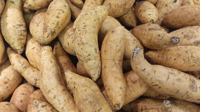 Heap of raw sweet potatoes display at market with top view camera movement