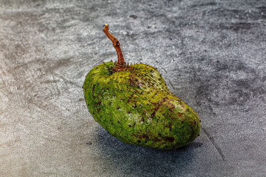 Textured green soursop fruit with brown spots and stem on dark stone surface tropical produce