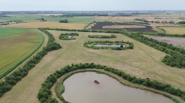 Rows of vineyard stretch across the green fields