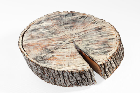White background with rustic tree stump slice showing growth rings and bark texture, cut into wedge for natural decor